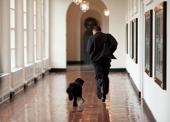 Barack Obamanın ağ evin fotoqrafı tərəfindən çəkilən 25 maraqlı FOTOSU