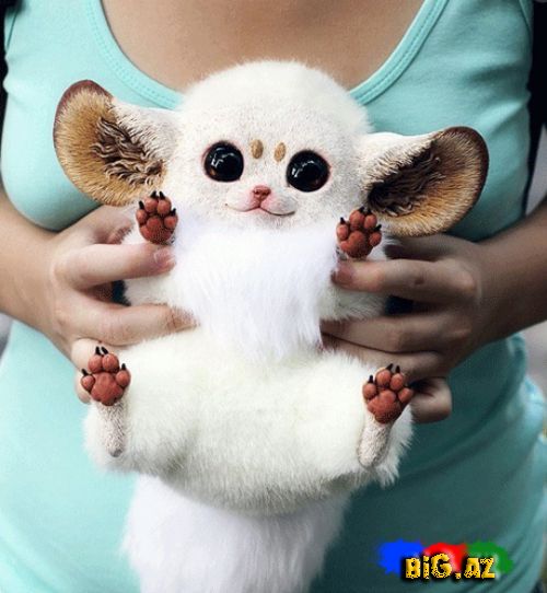 Oyuncaqlar