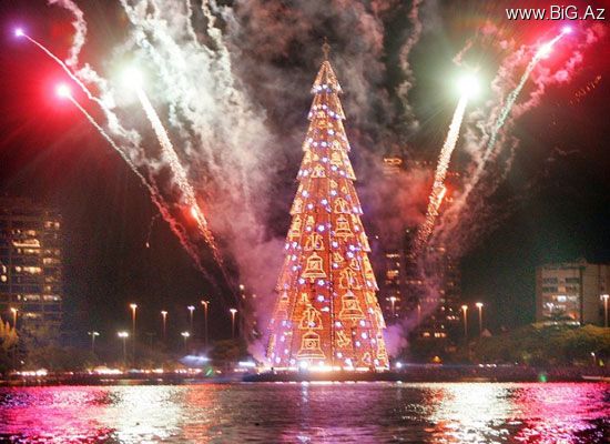 Dünyanın ən gözəl Yeni il yolkaları (Foto)
