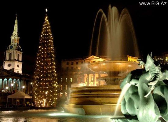 Dünyanın ən gözəl Yeni il yolkaları (Foto)