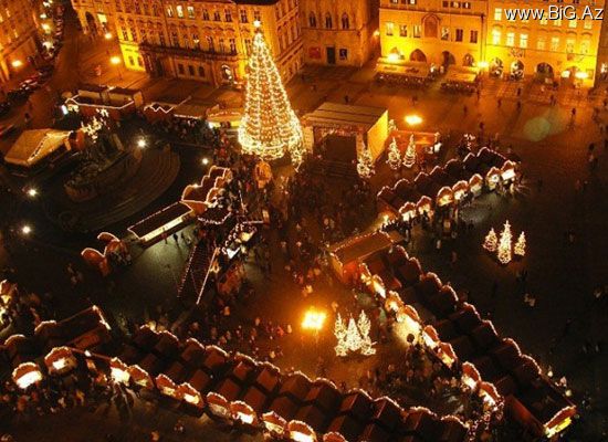 Dünyanın ən gözəl Yeni il yolkaları (Foto)