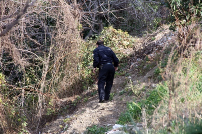 Şəhərdə görünən YIRTICI insanları qorxuya saldı - Polislər səfərbər oldu - FOTOLAR