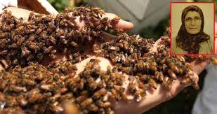 69 yaÅlÄ± qadÄ±n evinin qarÅÄ±sÄ±nda arÄ±larÄ±n hÃ¼cumuna m&Eacute;ruz qaldÄ± - FOTO