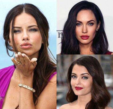 Bumblebees katta siklarga ega