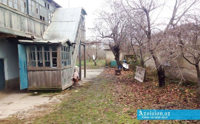 Xaçmazda öldürülən saqqallının atası: 