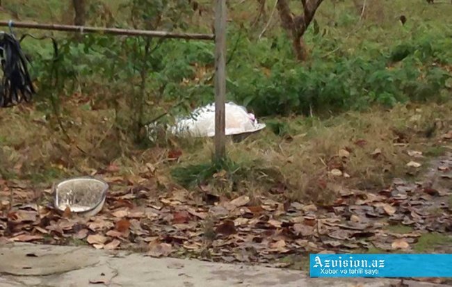 Xaçmazda öldürülən saqqallının atası: 