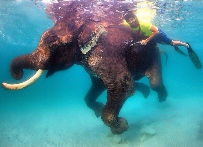 Dubayın ŞAHZADƏSİ - safari, ov və paraşütlərdə yaşanan ÇILĞIN HƏYAT - FOTOLAR