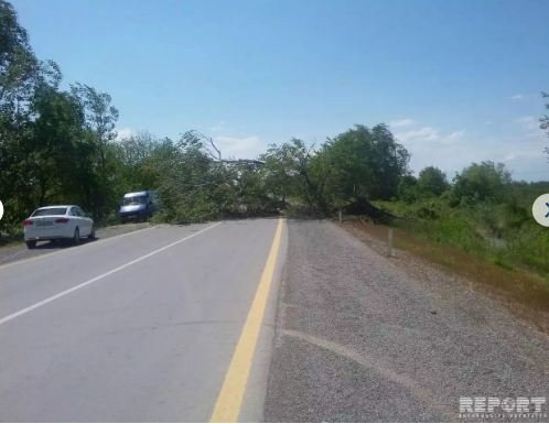 Bakı-Şamaxı-Yevlax magistralı bağlandı — FOTOLAR
