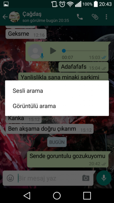 WhatsApp-da YENİLİK: günün sonunadək... - FOTOLAR
