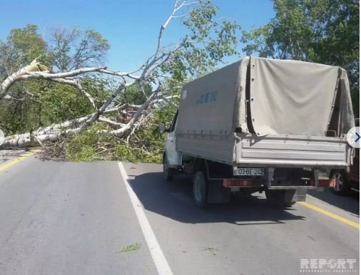 Bakı-Şamaxı-Yevlax magistralı bağlandı — FOTOLAR