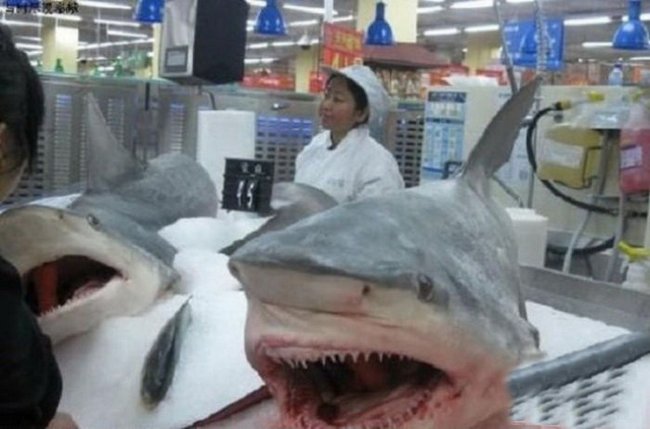 Bunları təkcə Çin supermarketlərindən almaq olar: DƏHŞƏTLİ FOTOLAR