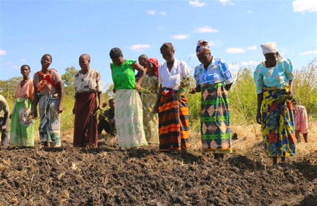 Yad kişi ilə cinsi əlaqədə olmasa, ərinin cəsədini görə bilməz - FOTOLAR