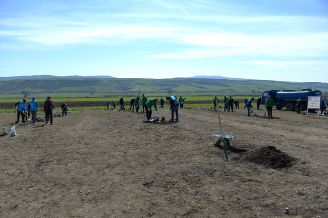 Leyla Əliyeva bağda ağac əkdi - FOTOLAR