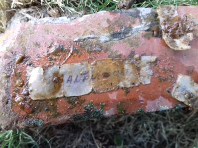Cadu edib, həyətinə atdılar - Bağçadan çıxanlar təəccübləndirdi - FOTO