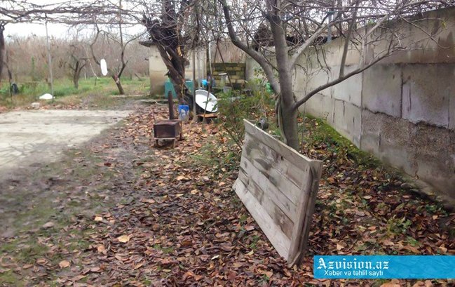 Xaçmazda öldürülən saqqallının atası: 