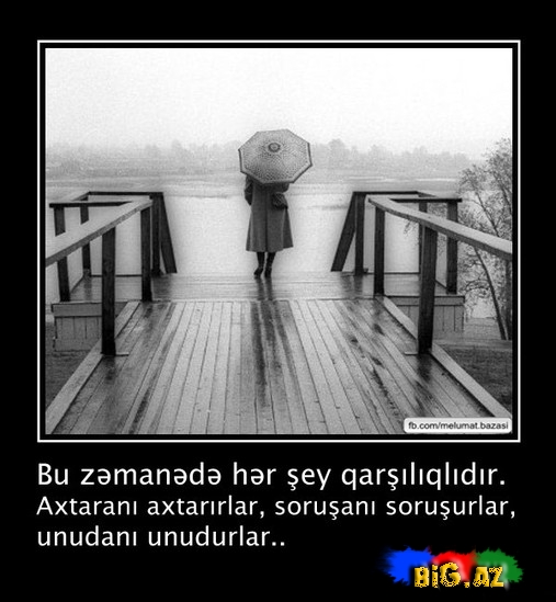 Gözləriniz gözəl sözlər oxusun - FOTO