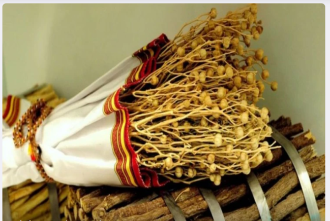 Xaricə üzərlik aparmayın - Həbs oluna bilərsiniz