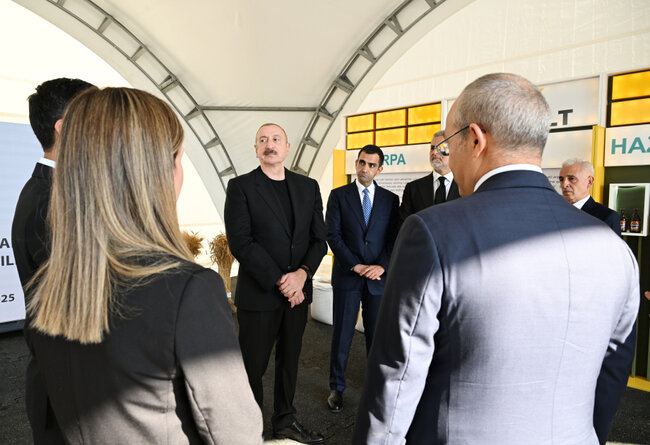 İlham Əliyev İmişliyə getdi - Fotolar