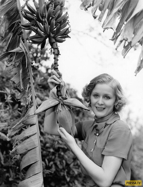 "Titanik"dəki yaşlı qadın cavanlıqda BELƏ OLUB - Cek onu görsə, Rouza tərəf baxmazdı - FOTOLAR