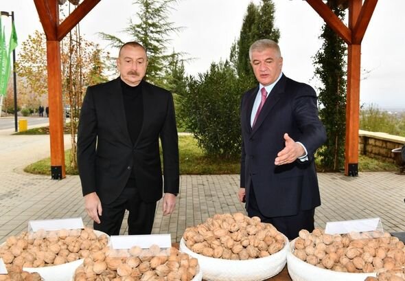 İlham Əliyev "Şəki-Oğuz" Aqroparkında yaradılan şəraitlə tanış olub - YENİLƏNİB + FOTO