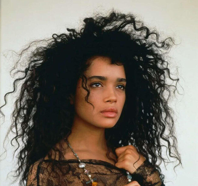 Hissin dünya ulduzu ilə bənzərliyi təəccübləndirdi - FOTOlar