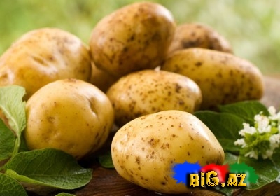 Kartofun möcüzəvi faydaları