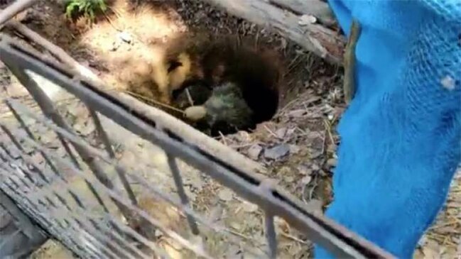 Quyudan 4 saata çıxardtılar, kÉndlilÉr Åokda - FOTO