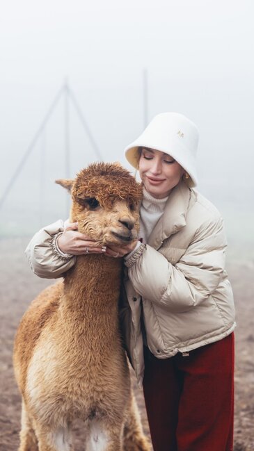 Prezidentin gəlininin alpaka fermasından maraqlı - Fotoları