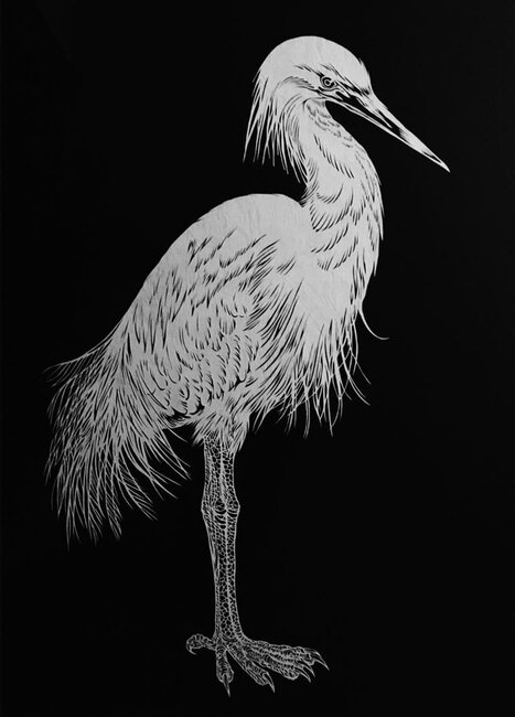 Skalpellə kağız üzərində cızdığı əsərlər görənləri heyran edir - FOTO