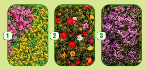 Şəxsiyyət testi: İndiki həyatınız necədir?