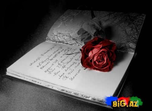 İnternet bizə nə verir və nələri alır?