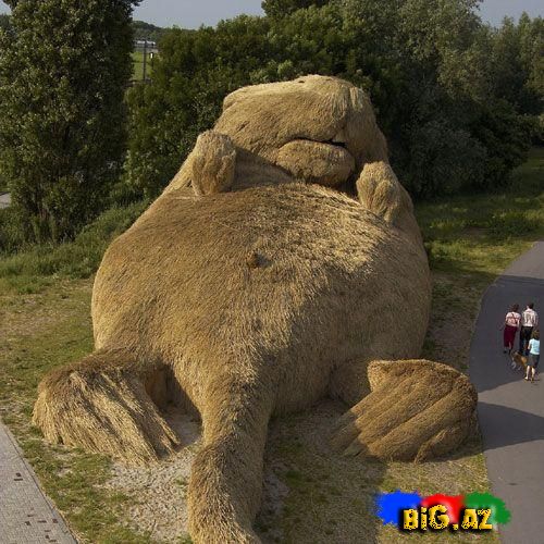 İnanmayacaqsınız Ama Bu Evdir!