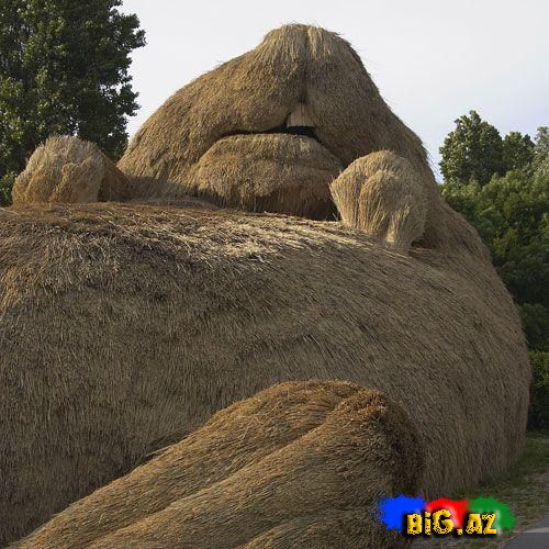 İnanmayacaqsınız Ama Bu Evdir!