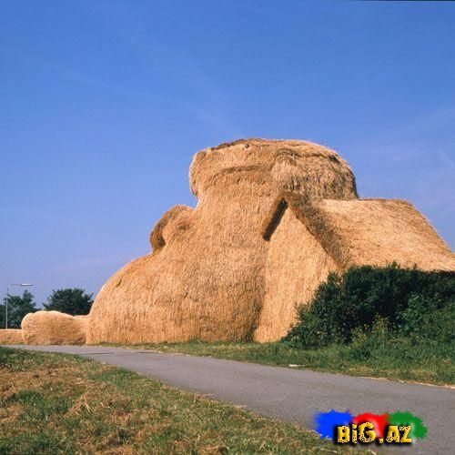 İnanmayacaqsınız Ama Bu Evdir!