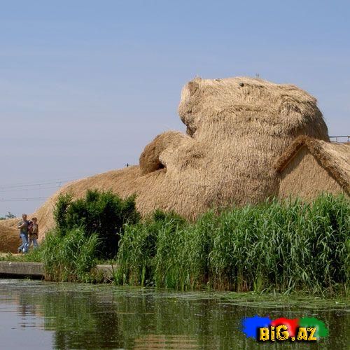 İnanmayacaqsınız Ama Bu Evdir!