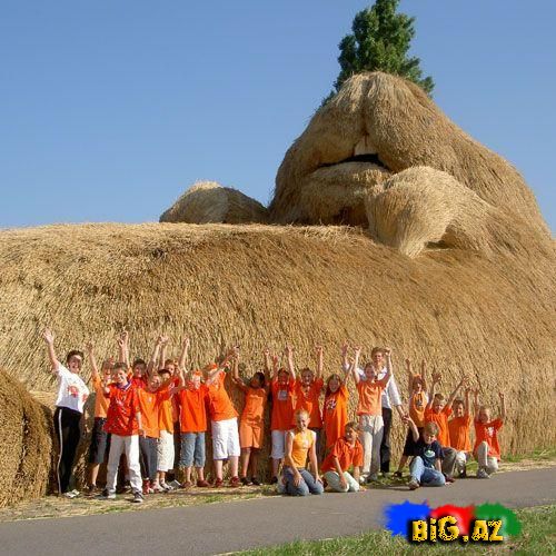 İnanmayacaqsınız Ama Bu Evdir!