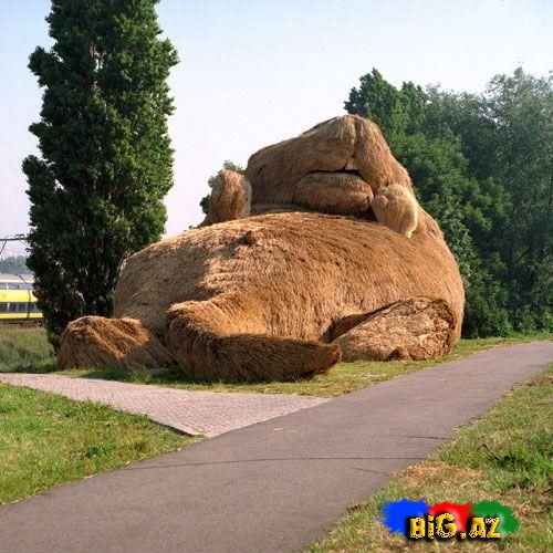 İnanmayacaqsınız Ama Bu Evdir!