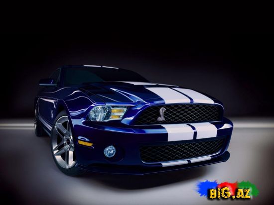 Shelby MUSTANG