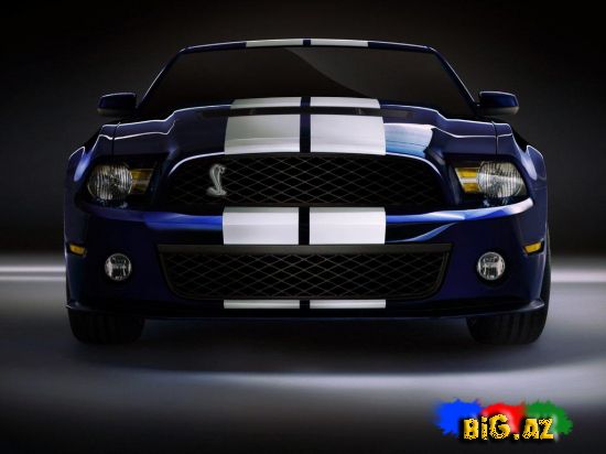 Shelby MUSTANG