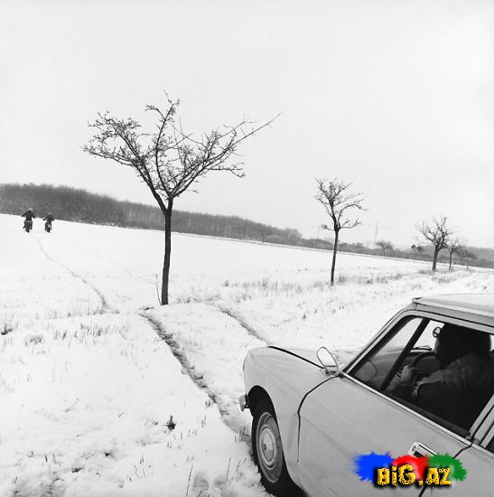 Maraqlı və məzəli şəkillər