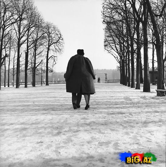 Maraqlı və məzəli şəkillər