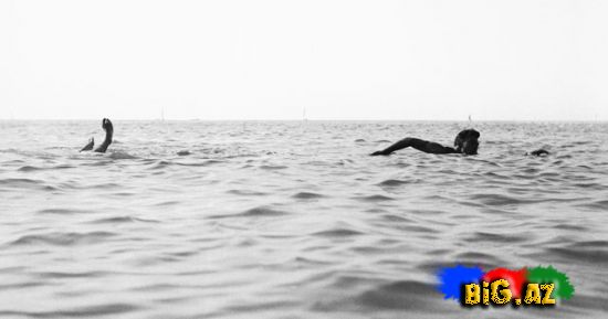 Maraqlı və məzəli şəkillər