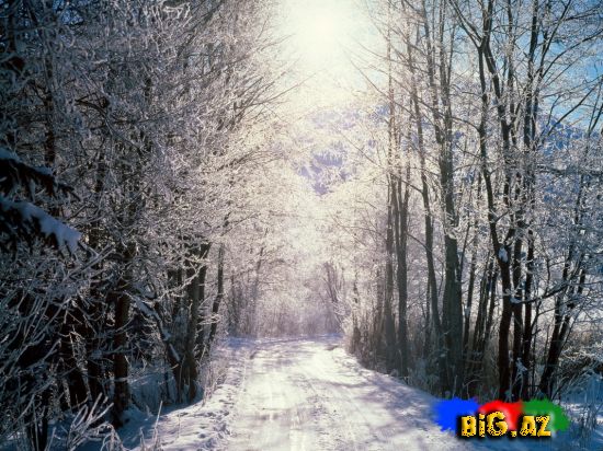 Qış Şəkillər [ 2-ci Hissə ]