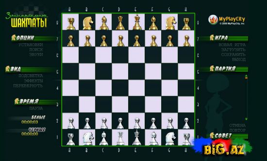 Amusive Chess [ Game ]