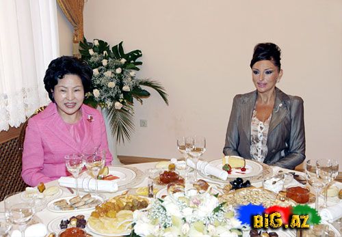 The First Lady oF Azerbaijan Mehriban Əliyeva [Fotoalbom]