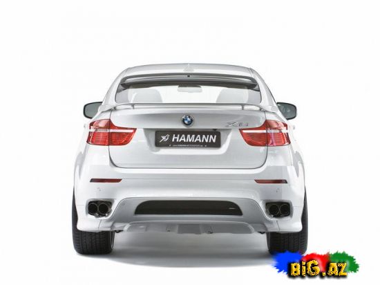 Hamann BMW X6 2010