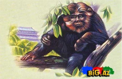 Qar adamı-Yeti tarixdə