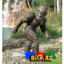 Qar adamı-Yeti tarixdə