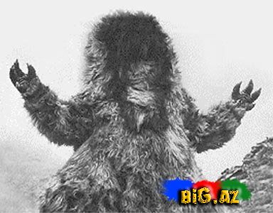 Qar adamı-Yeti tarixdə