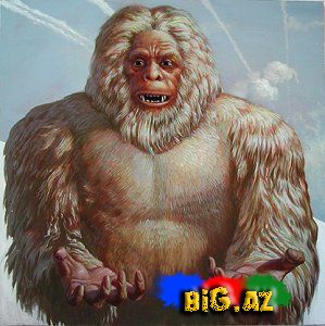 Qar adamı-Yeti tarixdə